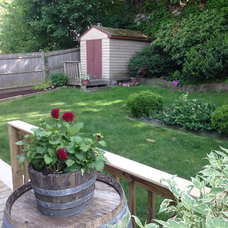 13 Springvale Avenue Chelsea, MA 02150 - Photo 29 of 30 Gallery Image 29