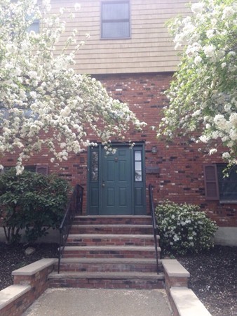 13 Springvale Avenue Chelsea, MA 02150 - Photo 3 of 30 Gallery Image 3