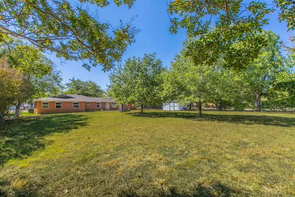 a view of a yard with a tree