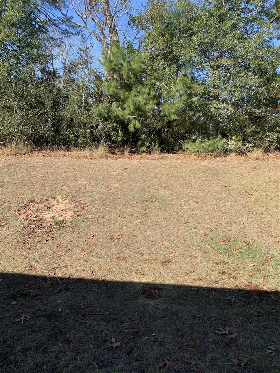 134 Hickory Course Trail Ocala, FL 34472 - Photo 5 of 31