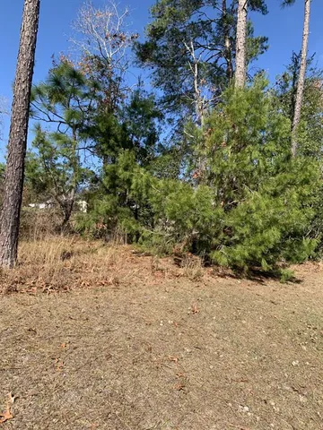 $299,900 | 134 Hickory Course Trail, Ocala, FL 34472