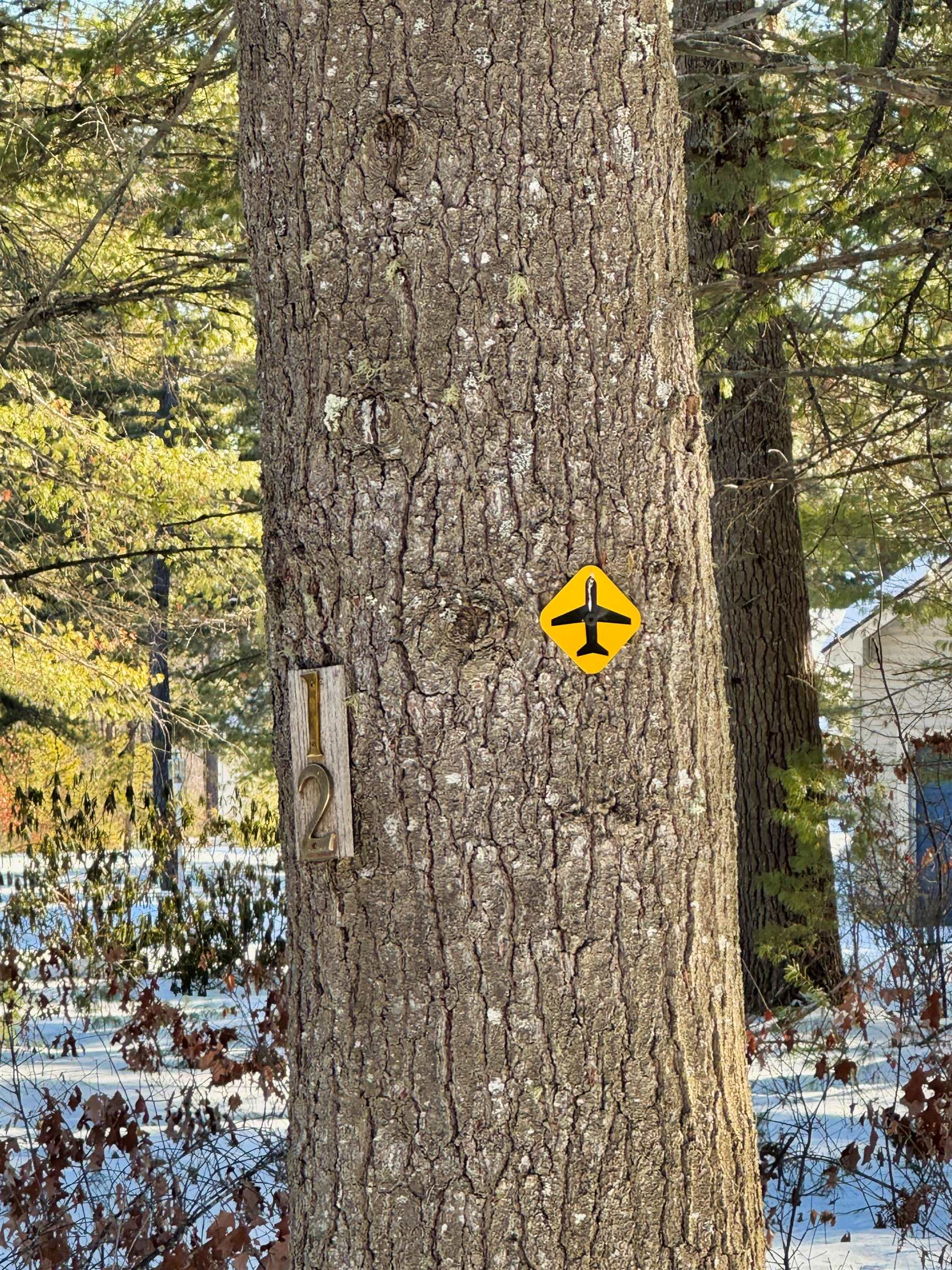 12 Logan Way Ossipee, NH 03864 - Photo 3 of 5