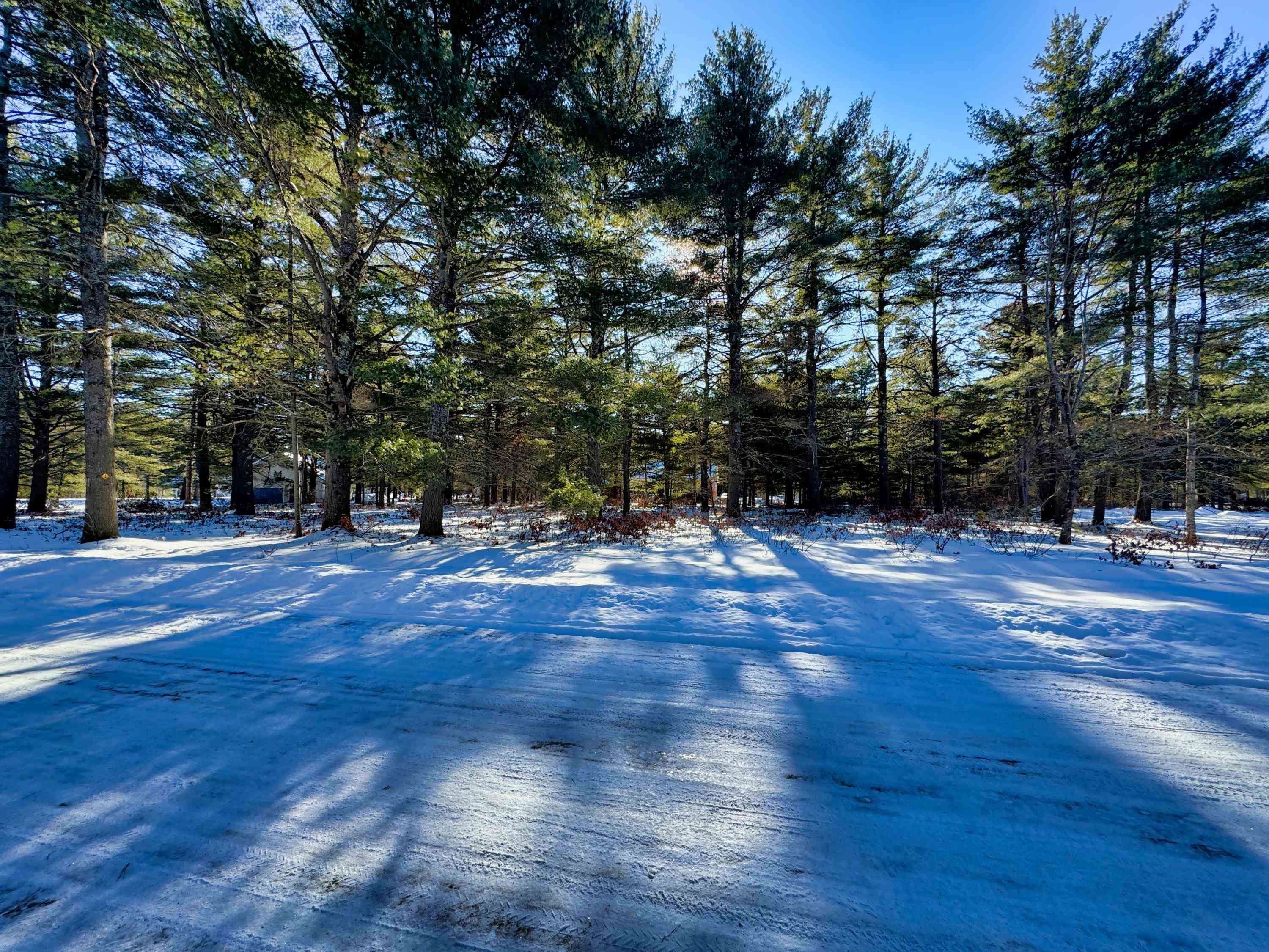 12 Logan Way Ossipee, NH 03864 - Photo 4 of 5