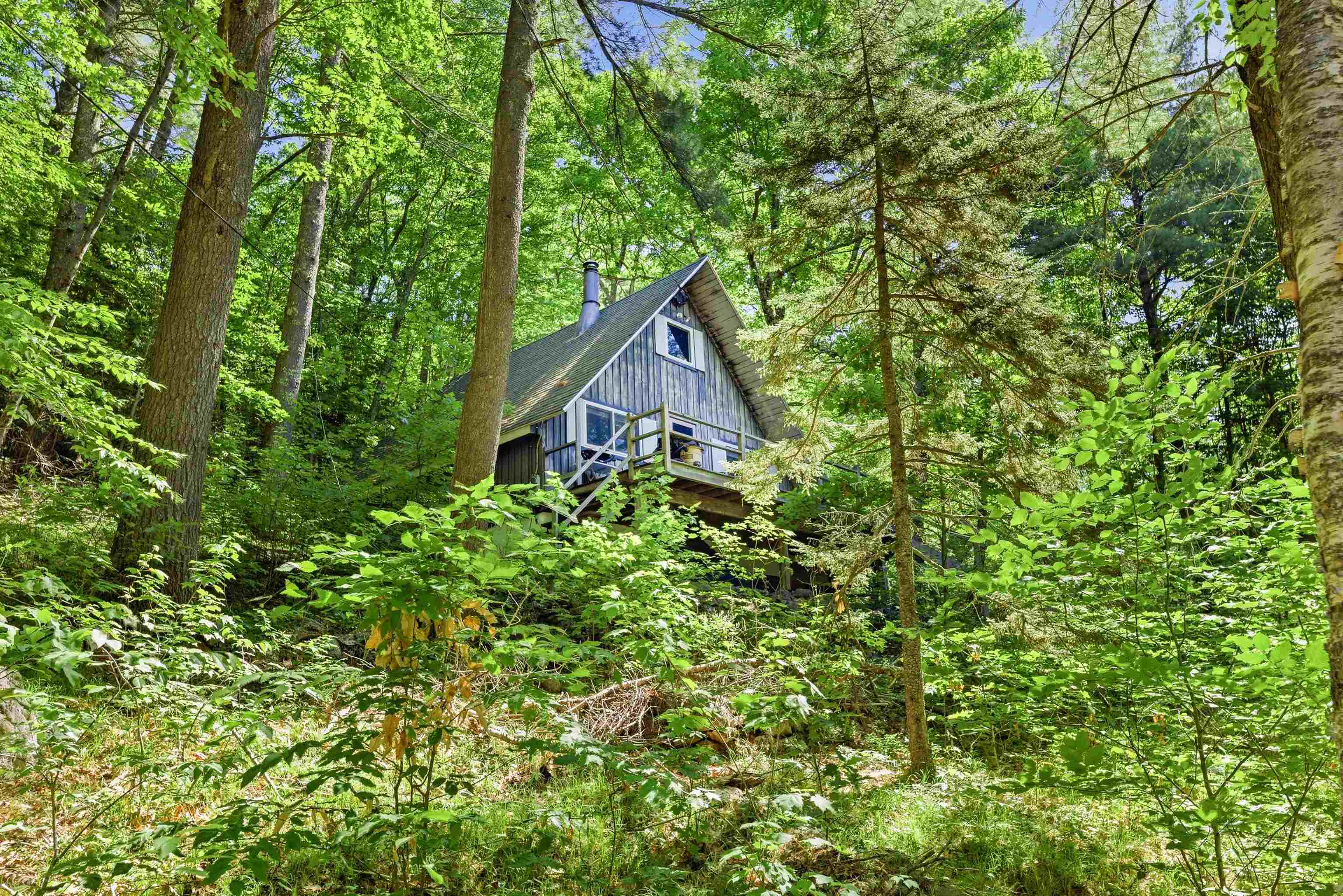 158 Temple Road Sharon, NH 03458 - Photo 2 of 37