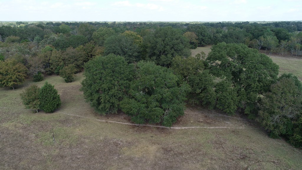 2703 AN County Road Tennessee Colony, TX 75861 - Photo 4 of 30