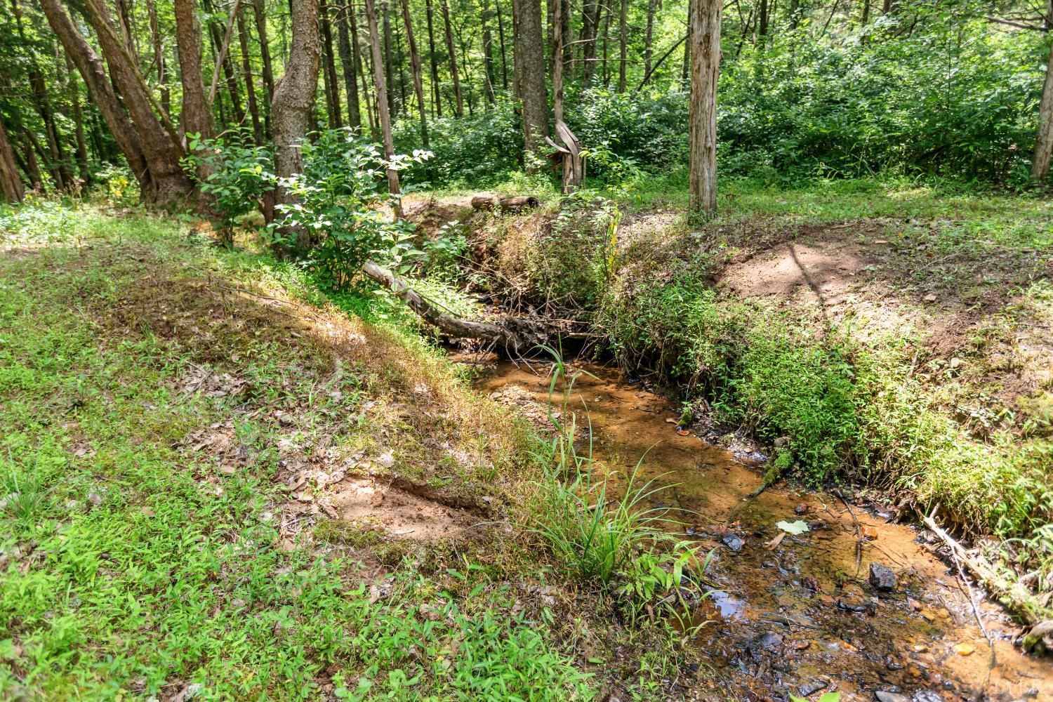 1370 Moonlight Road Appomattox, VA 24522 - Photo 88 of 99