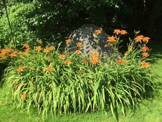 2 D Pine Isle Drive, Unit D Derry, NH 03038 - Photo 31 of 34