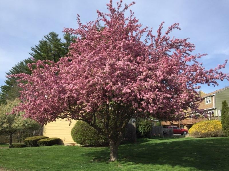 2 D Pine Isle Drive, Unit D Derry, NH 03038 - Photo 34 of 34