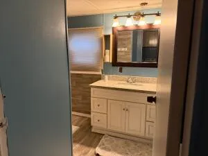 a bathroom with a sink and a mirror