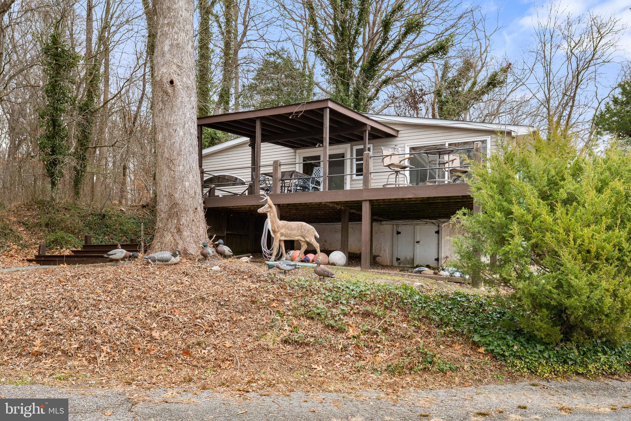 37 Cattail Lane Elkton, MD 21921 - Photo 19 of 42 a view of a house with a yard