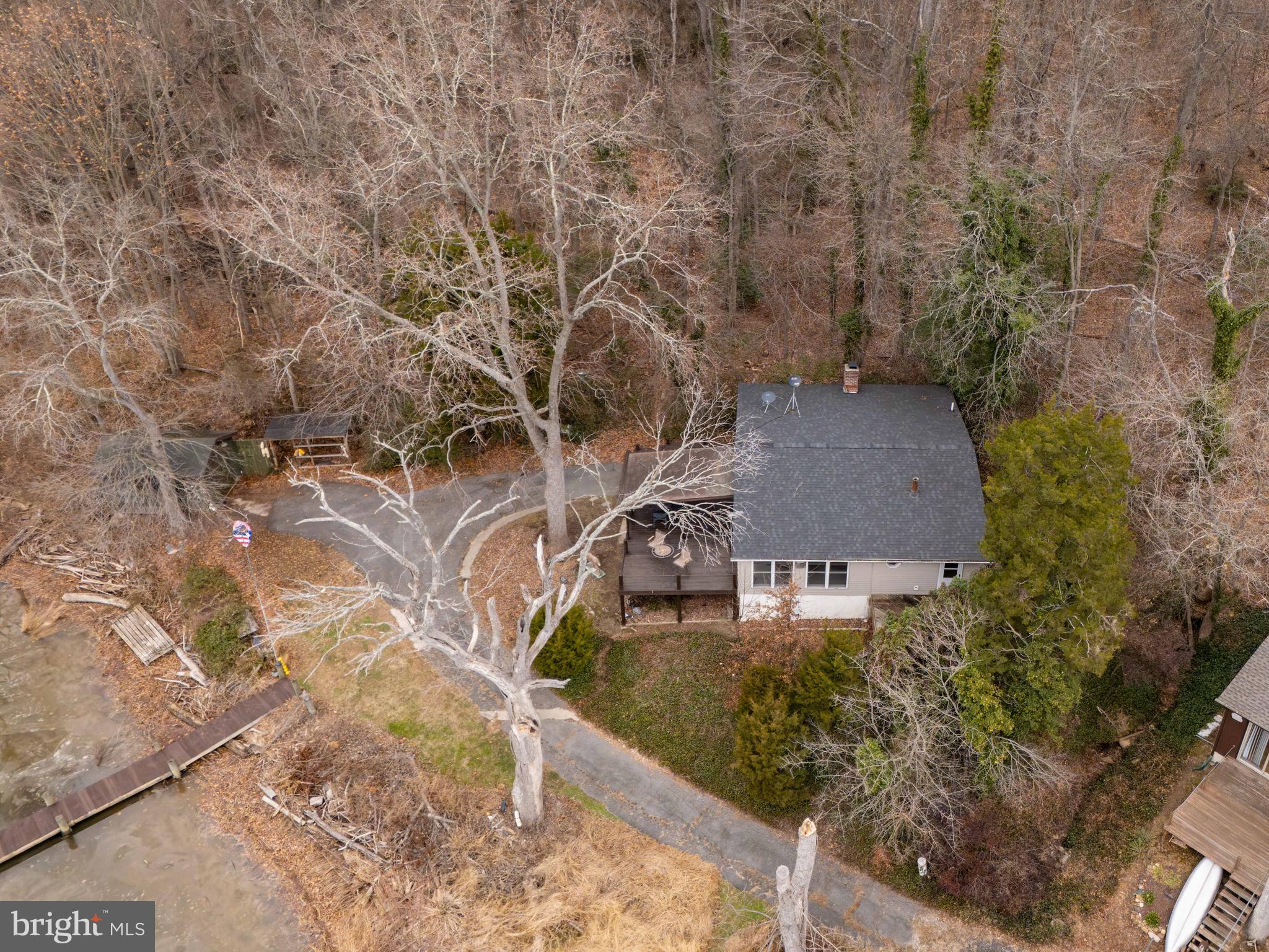 37 Cattail Lane Elkton, MD 21921 - Photo 7 of 42 a picture of a yard