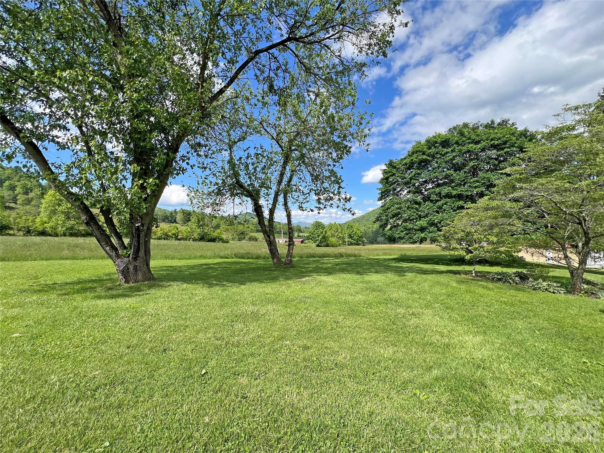 550 Joe Payne Road Marshall, NC 28753 - Photo 29 of 42