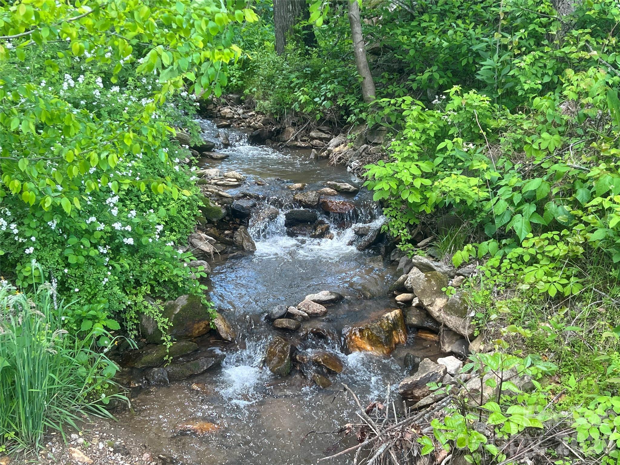 550 Joe Payne Road Marshall, NC 28753 - Photo 3 of 42