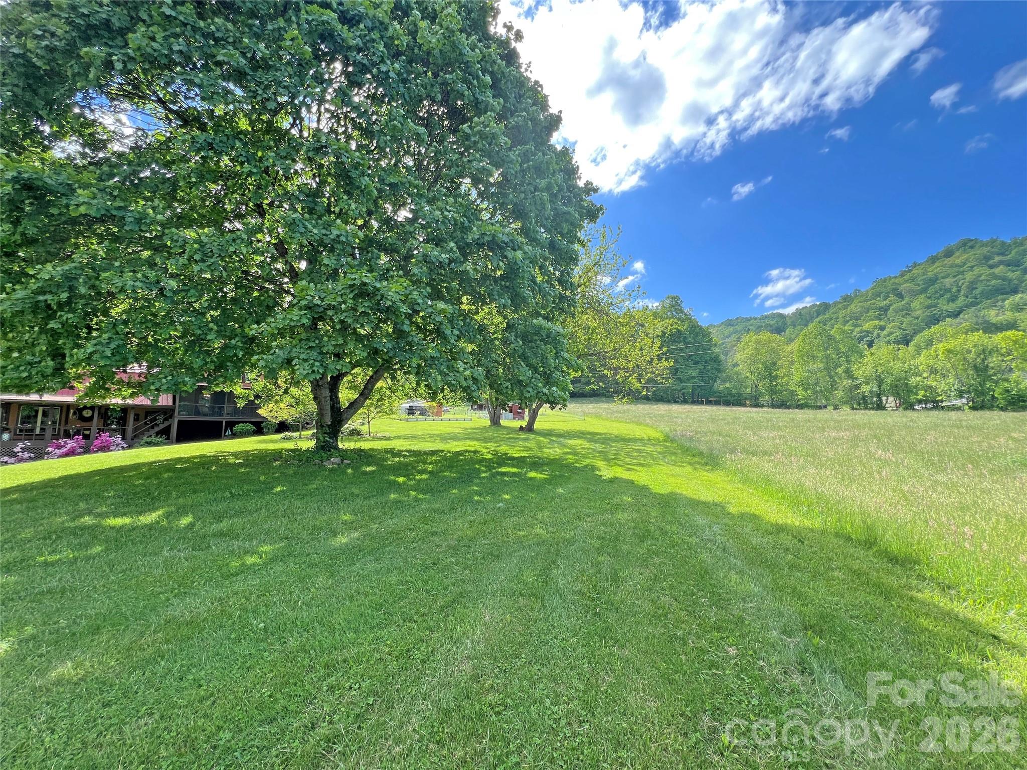 550 Joe Payne Road Marshall, NC 28753 - Photo 34 of 42