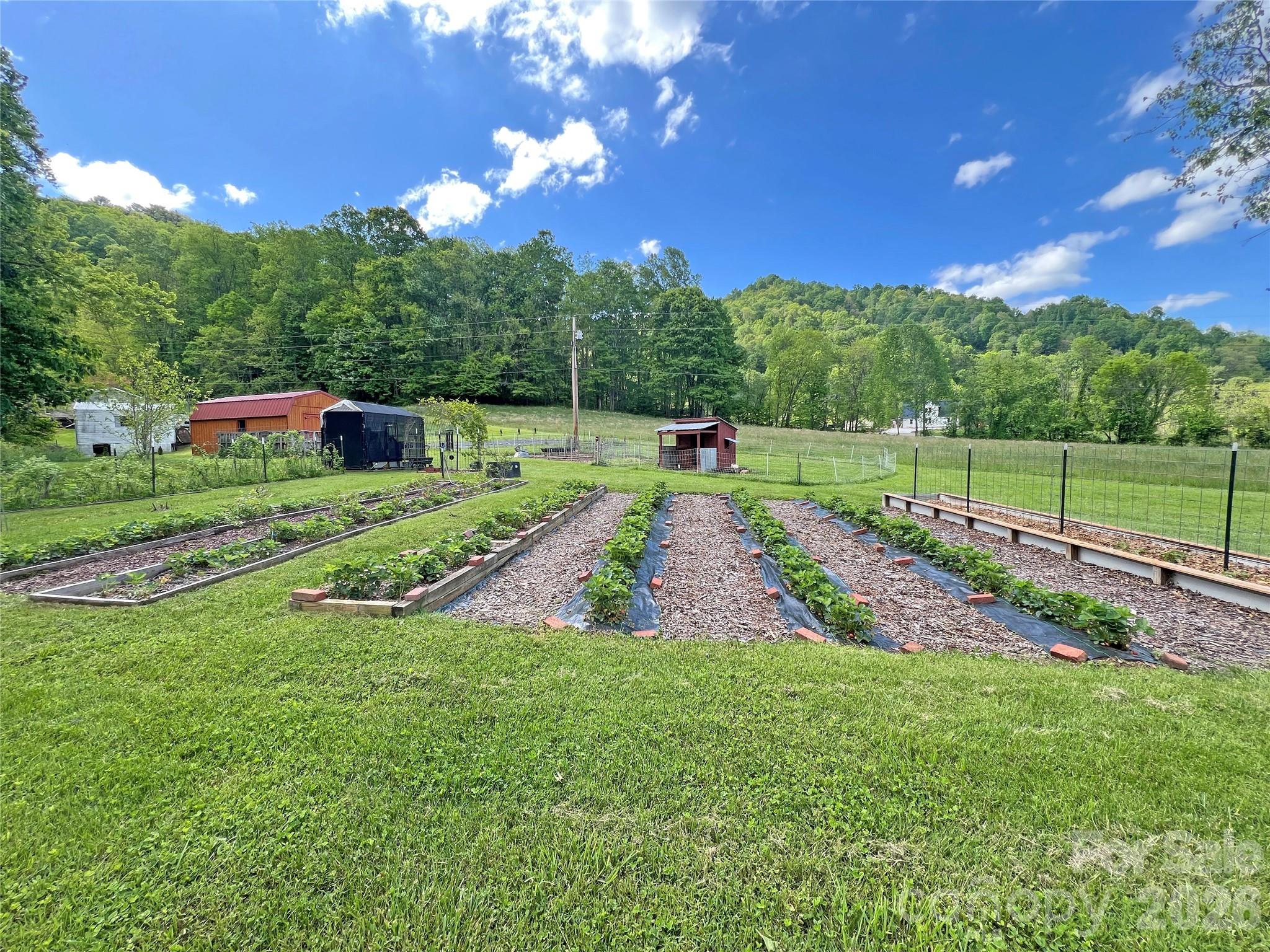 550 Joe Payne Road Marshall, NC 28753 - Photo 35 of 42