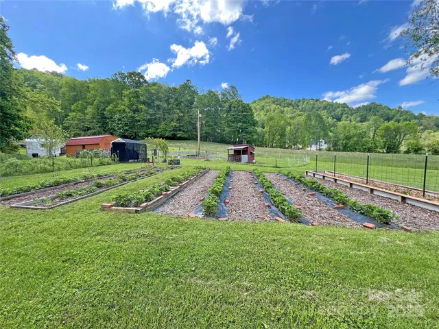 a view of a trees with a big yard