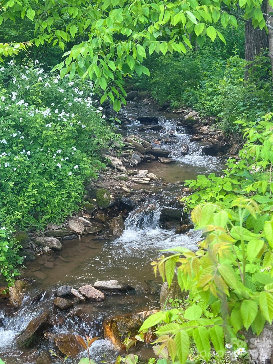 550 Joe Payne Road Marshall, NC 28753 - Photo 41 of 42