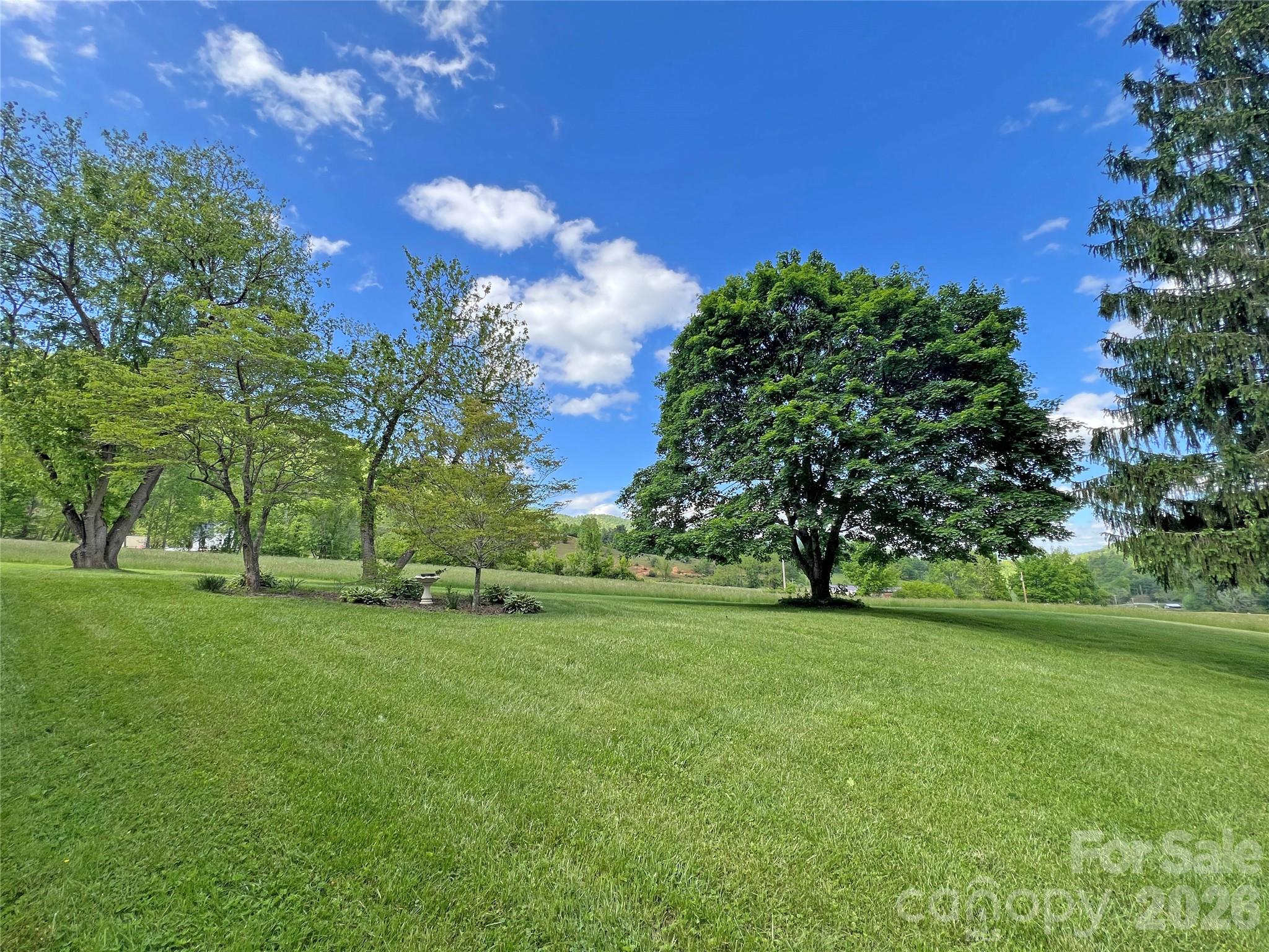 550 Joe Payne Road Marshall, NC 28753 - Photo 42 of 42