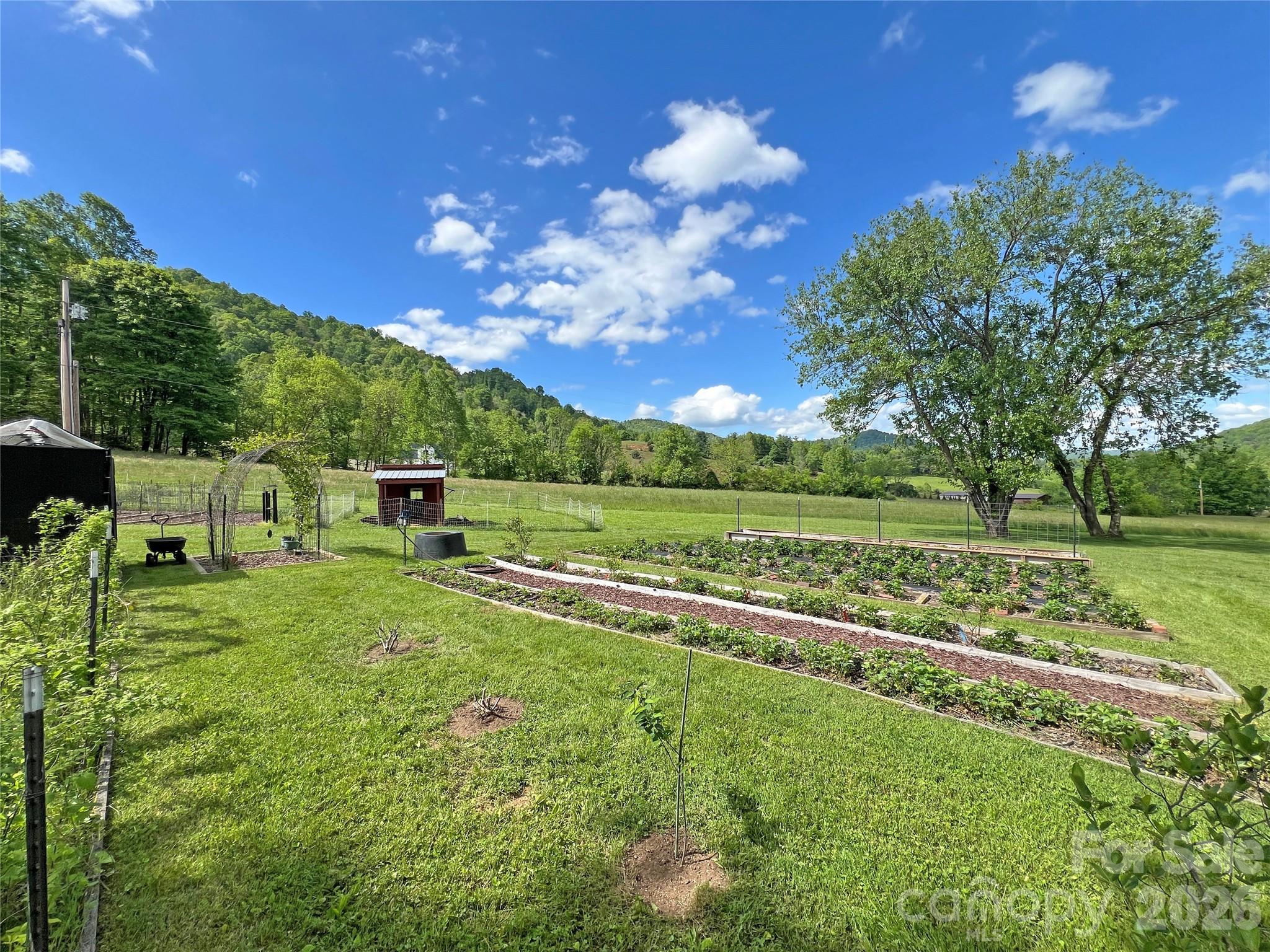 550 Joe Payne Road Marshall, NC 28753 - Photo 5 of 42