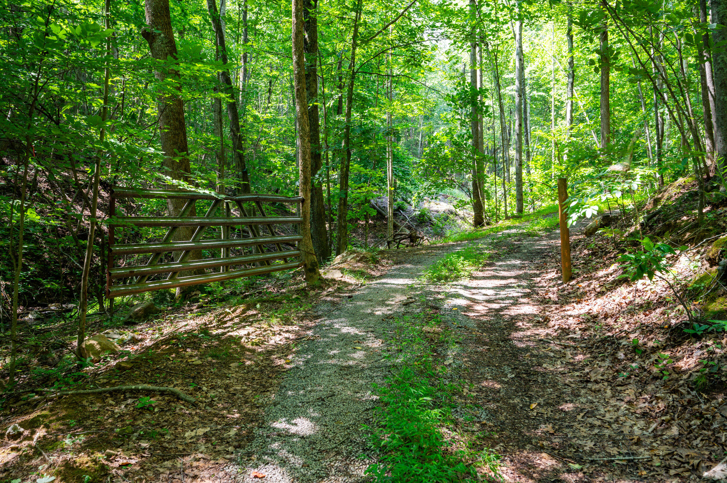 0 Adventure Mountain Road Montvale, VA 24122 - Photo 39 of 52 39_adventure_mountain_rd-28