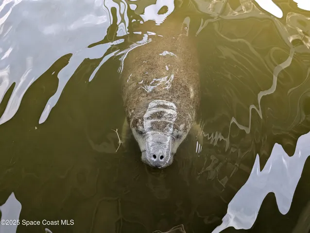 a view of water heater room