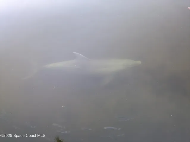 a view of small space