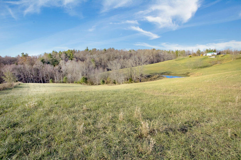 1006 Heizer Hill Road Wellington, KY 40387 - Photo 18 of 29 0V6A9860