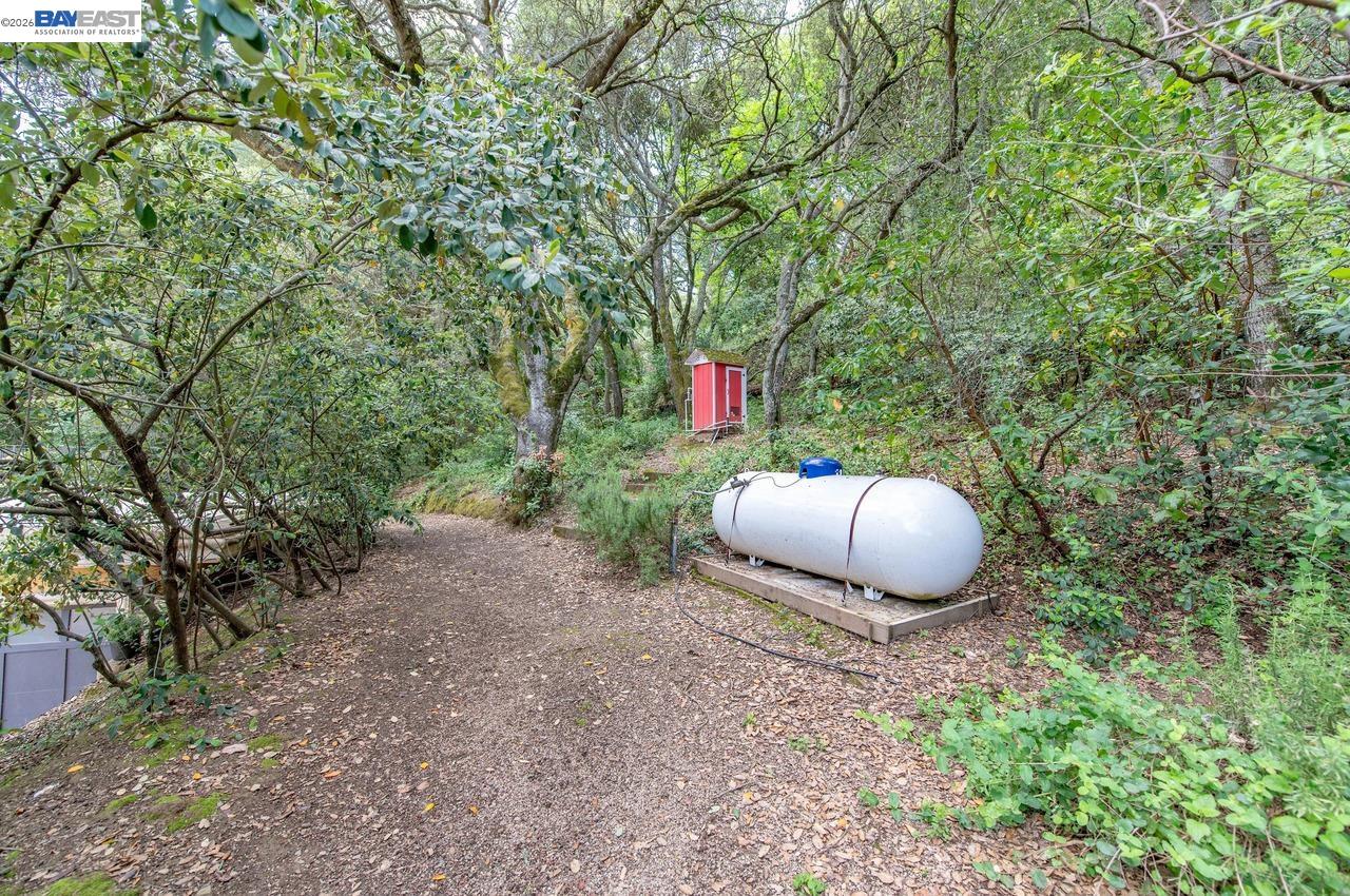 35655 Palomares Road Castro Valley, CA 94552 - Photo 87 of 90