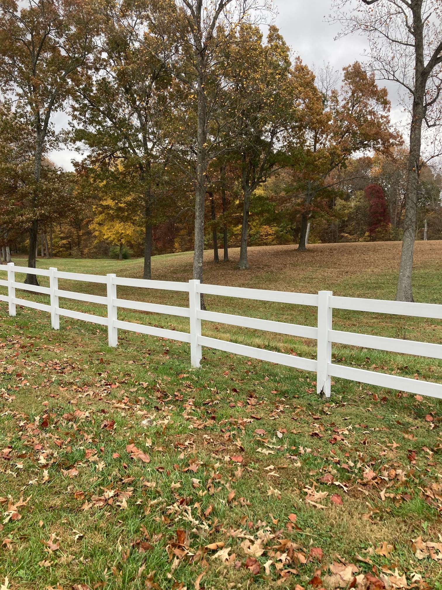 3196 Maxey Road Cedar Hill, TN 37032 - Photo 2 of 4 Gallery Image 2