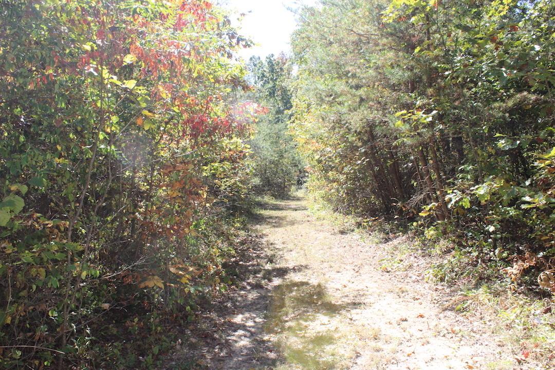 450 Simmons Road Oak Hill, OH 45656 - Photo 13 of 30