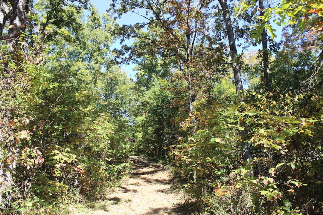 450 Simmons Road Oak Hill, OH 45656 - Photo 15 of 30