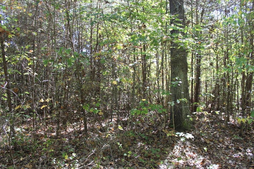 450 Simmons Road Oak Hill, OH 45656 - Photo 17 of 30