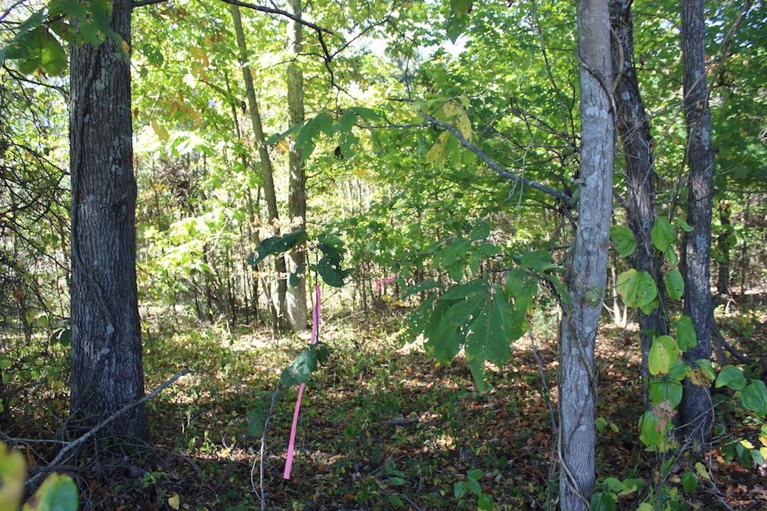 450 Simmons Road Oak Hill, OH 45656 - Photo 22 of 30