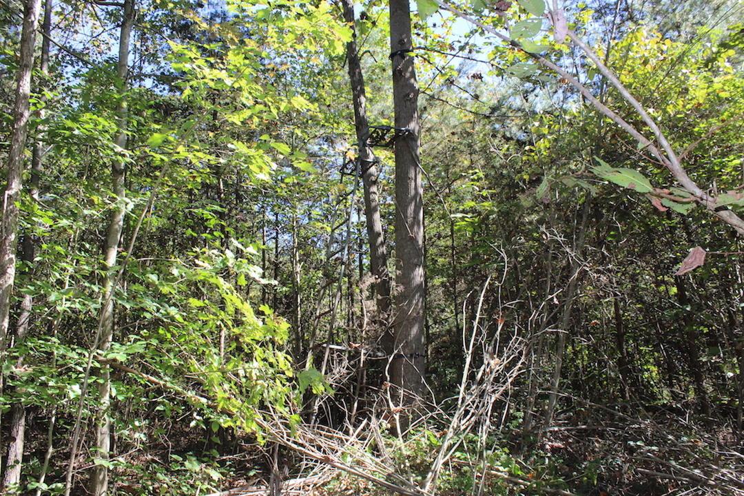 450 Simmons Road Oak Hill, OH 45656 - Photo 23 of 30