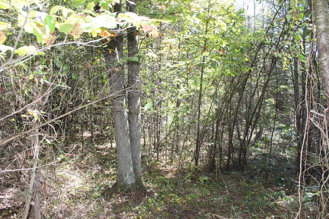 450 Simmons Road Oak Hill, OH 45656 - Photo 25 of 30