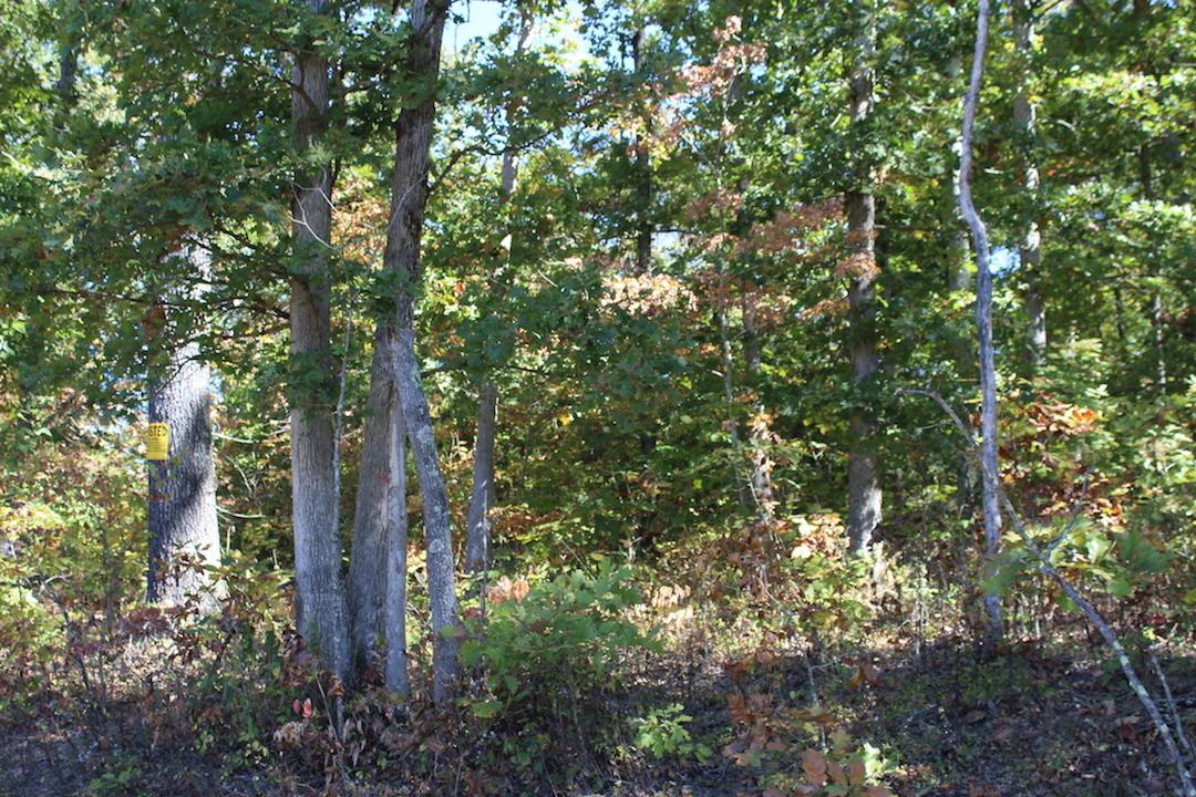 450 Simmons Road Oak Hill, OH 45656 - Photo 7 of 30