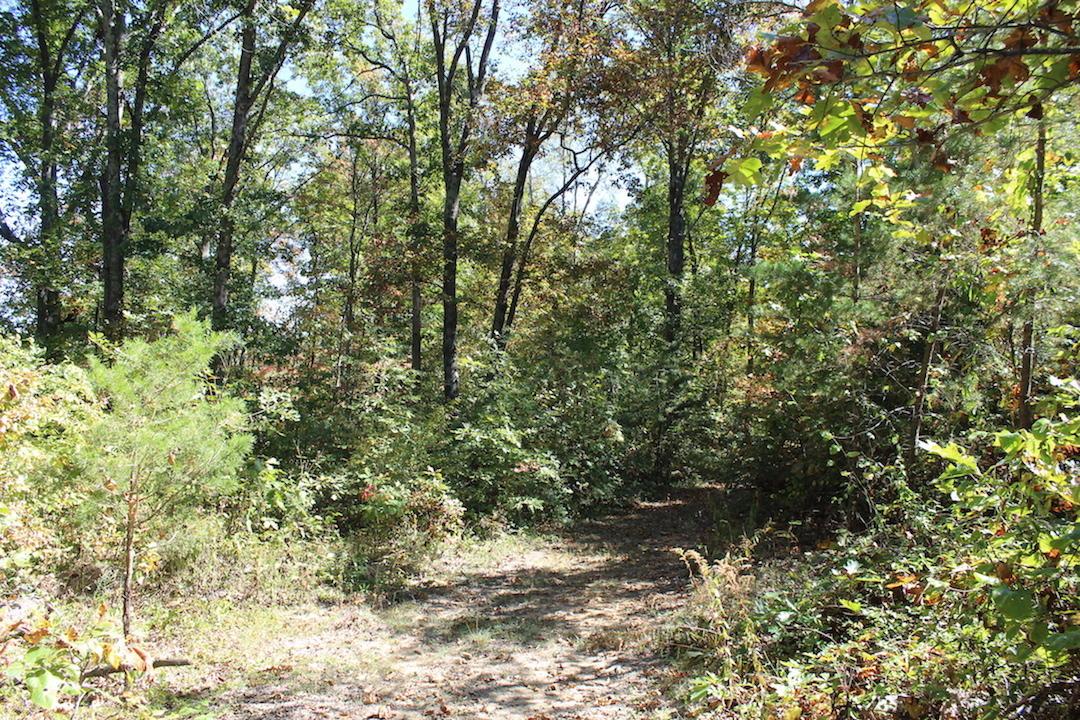 450 Simmons Road Oak Hill, OH 45656 - Photo 9 of 30