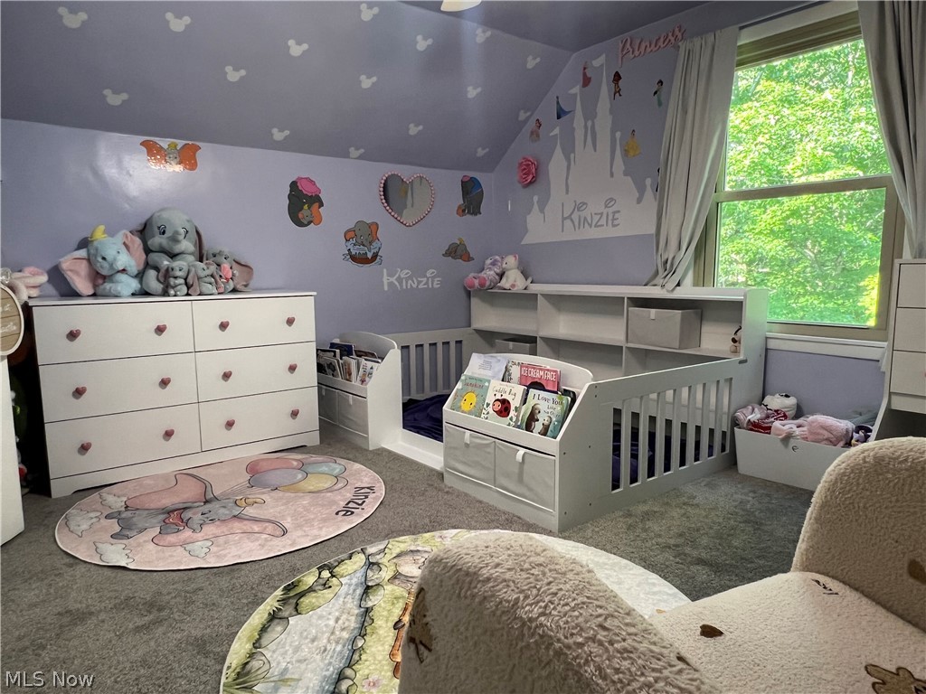 3884 Dobbins Road Youngstown, OH 44514 - Photo 24 of 32
