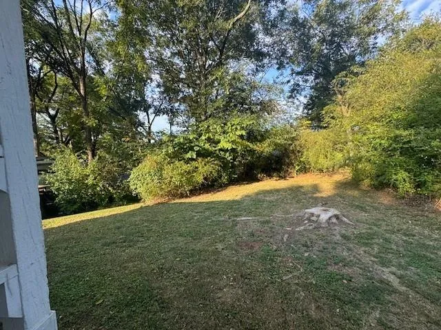 a view of a yard with a tree