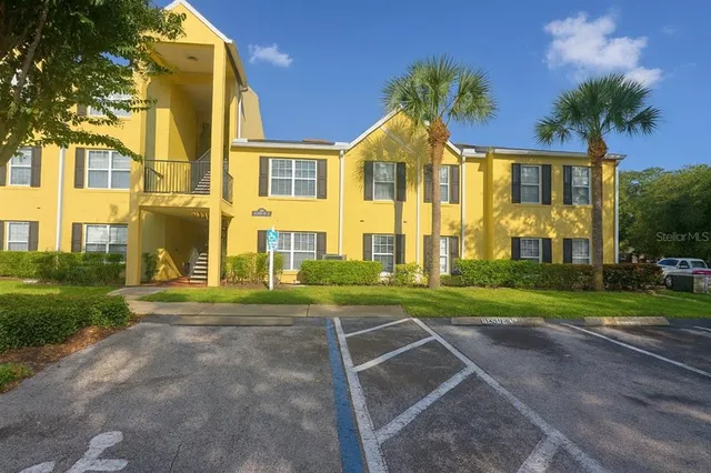 a view of a swimming pool with a garden and plants