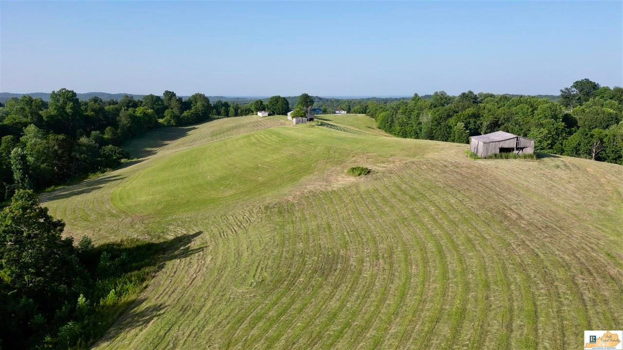 2417 Weed-Keltner Road Edmonton, KY 42129 - Photo 77 of 93 Gallery Image 77