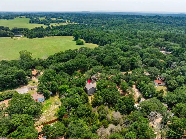 an aerial view of green landscape with trees houses and lake view