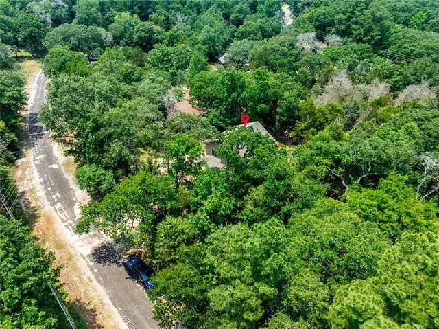 view of a lush green forest with lots of trees
