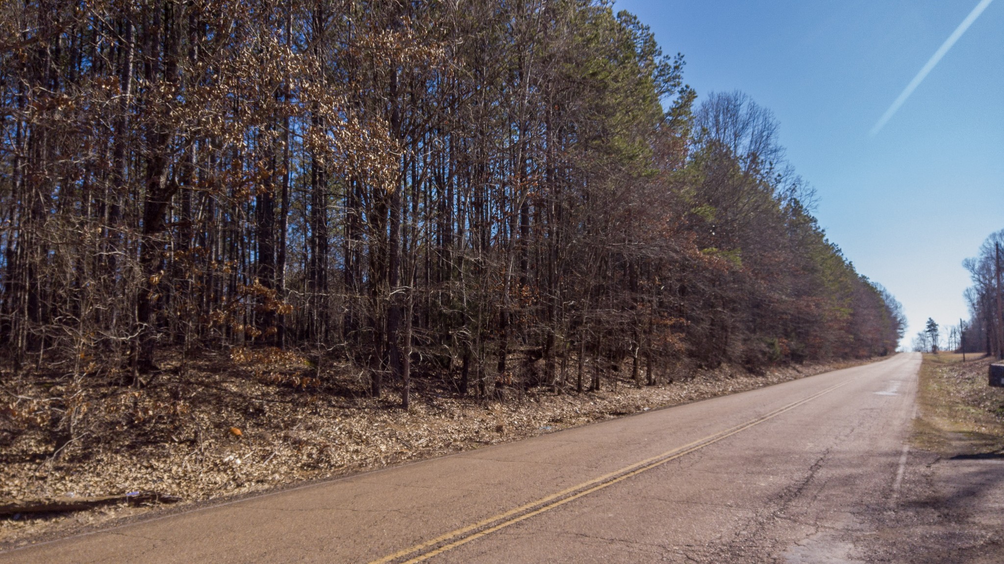 0 Walnut Grove Road Bolivar, TN 38008 - Photo 2 of 8 a view of a yard with trees and bushes