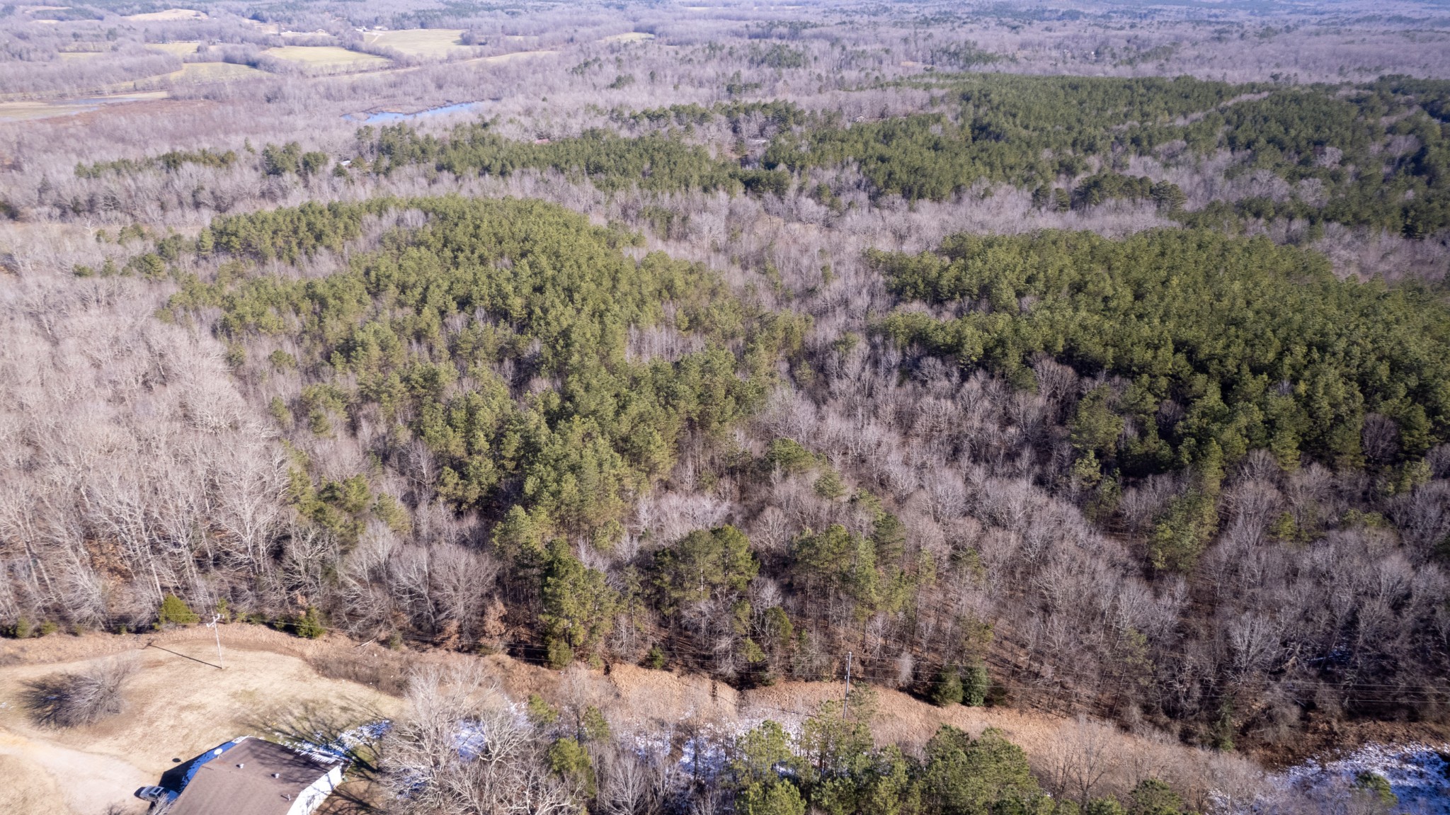 0 Walnut Grove Road Bolivar, TN 38008 - Photo 5 of 8 a view of a field