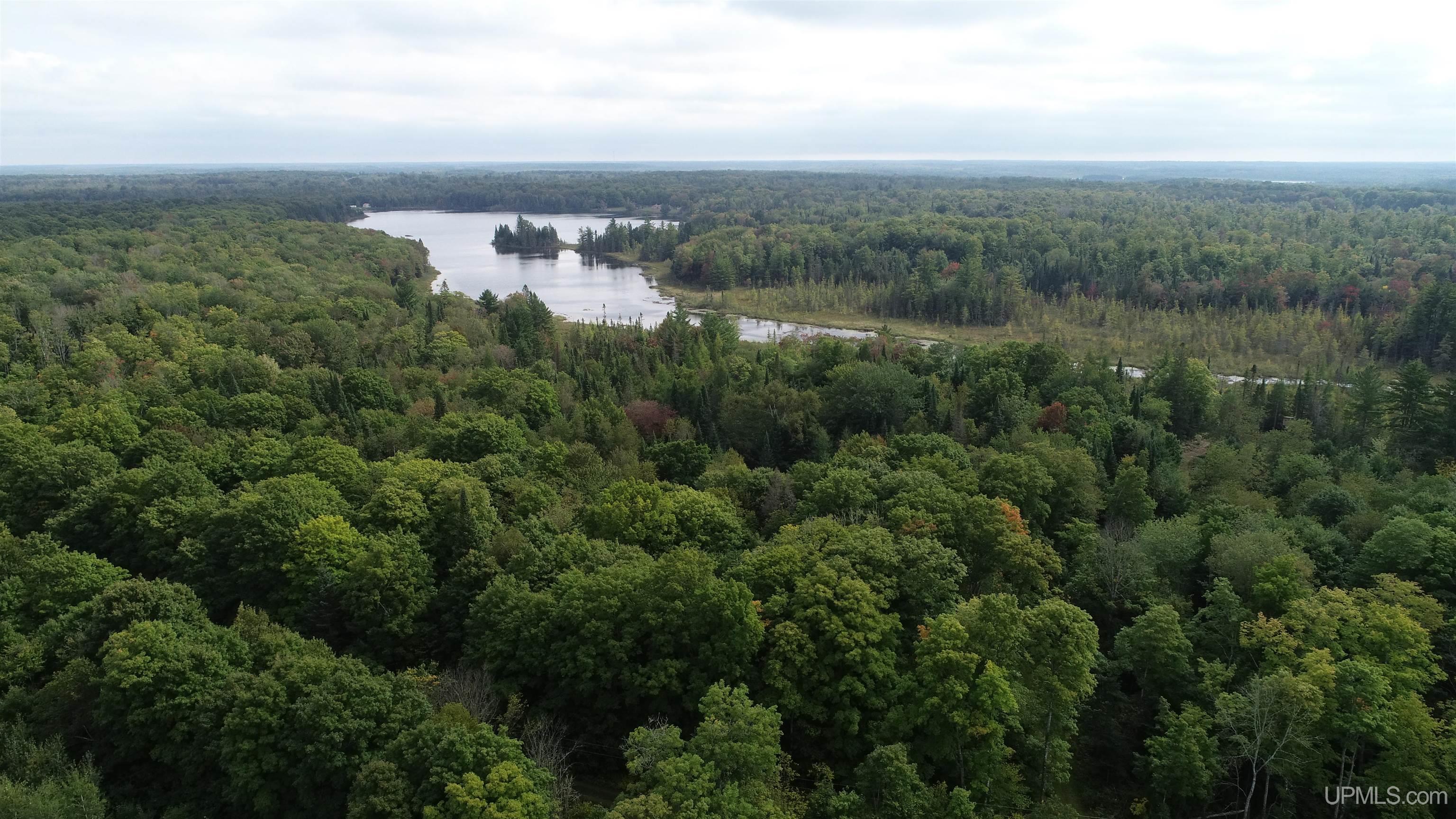 Tbd North Tbd N Powerline Road Germfask, MI 49836 - Photo 17 of 29