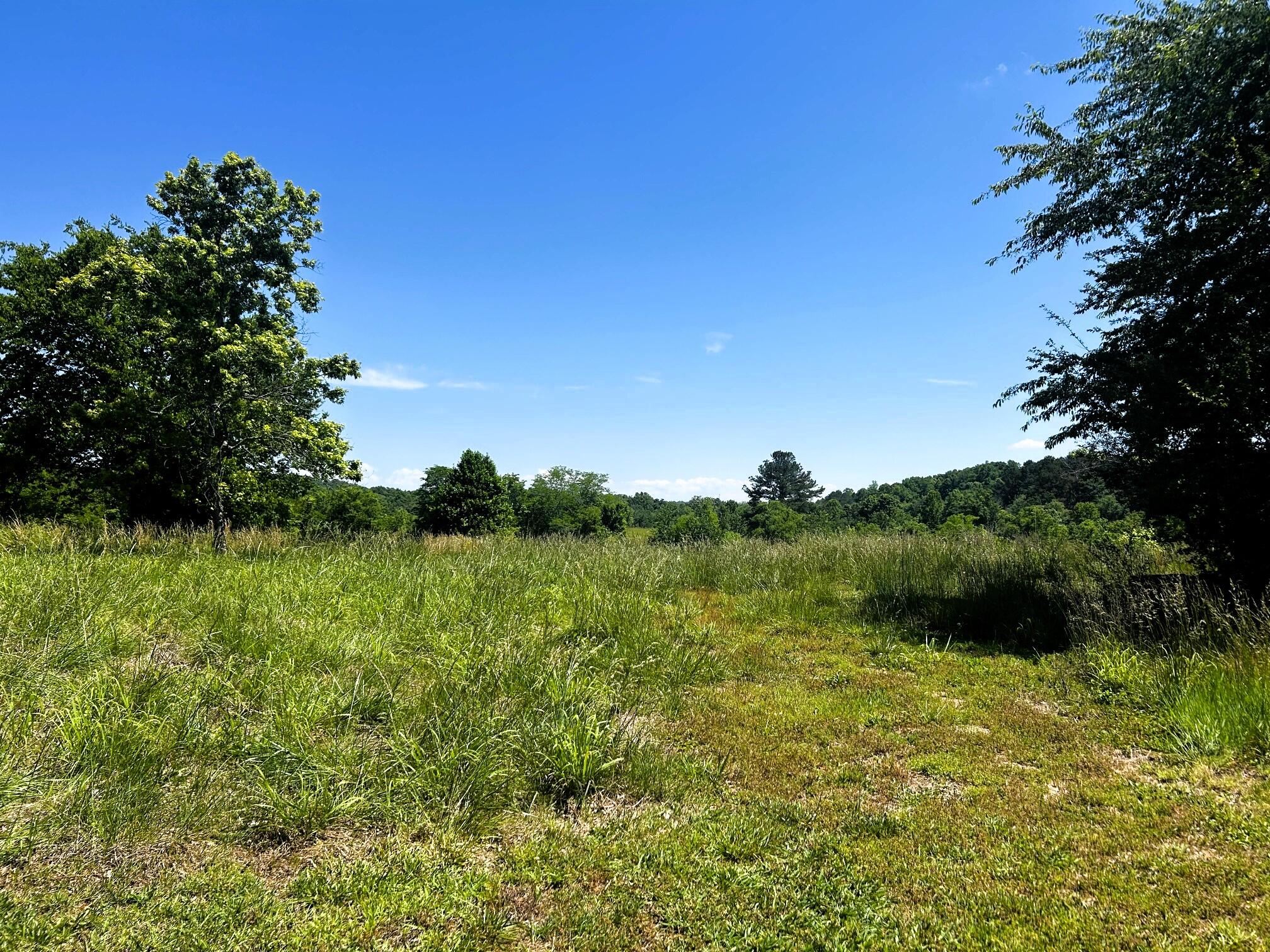573 South Judd Road Decatur, TN 37322 - Photo 4 of 37 Judd views