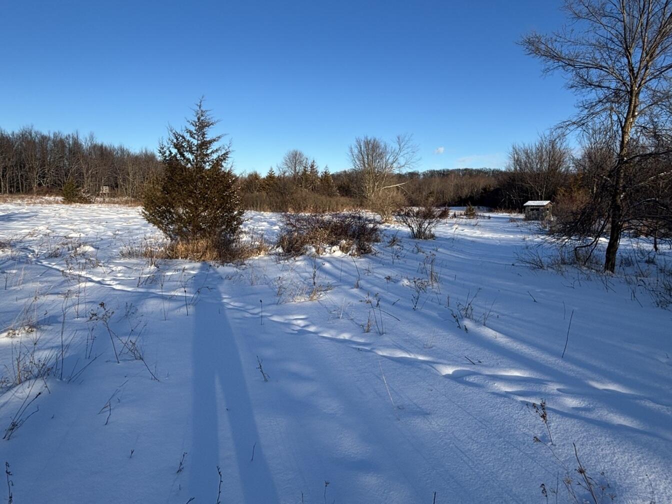 6711 South Tripp Road Osseo, MI 49266 - Photo 1 of 9 Field view