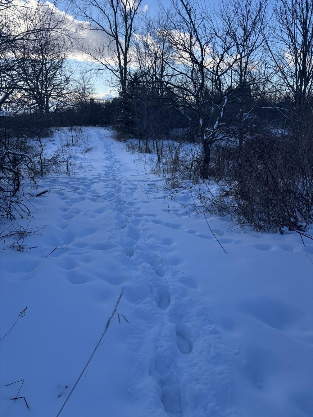 6711 South Tripp Road Osseo, MI 49266 - Photo 3 of 9 2