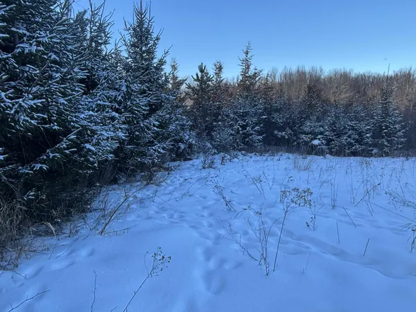 $219,000 | 6711 South Tripp Road, Osseo, MI 49266